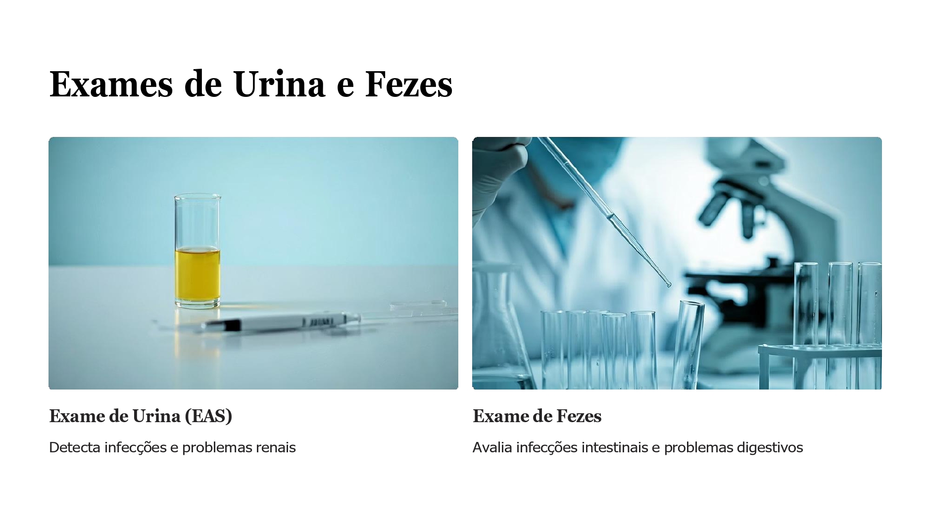 Principais-Exames-Laboratoriais final_page-0005.jpg